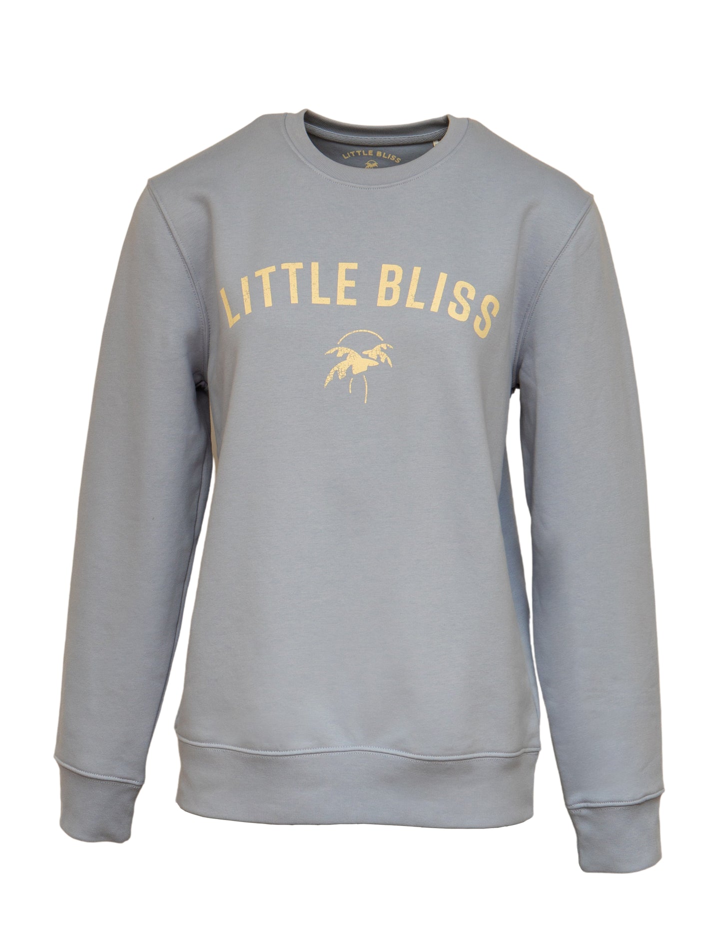 The Little Bliss Sweatshirt in Powder Blue